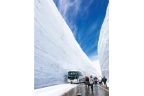 1名参加OK!【木曽川・一宮発】*1泊3食付*マイカーでは行けないけどバスなら行ける!乗り換えなしでラクラク♪『上高地&立山室堂雪の大谷』1